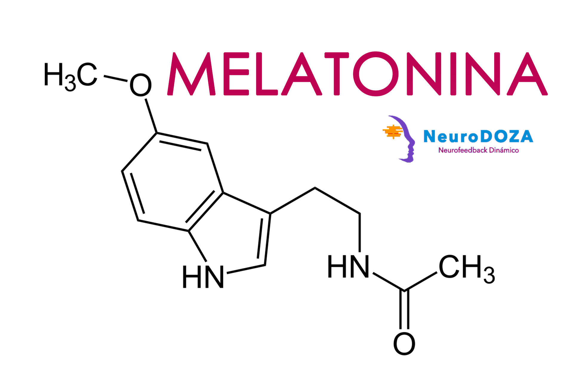 Melatonina La Hormona De La Noche Y Del Sueño Neurodoza