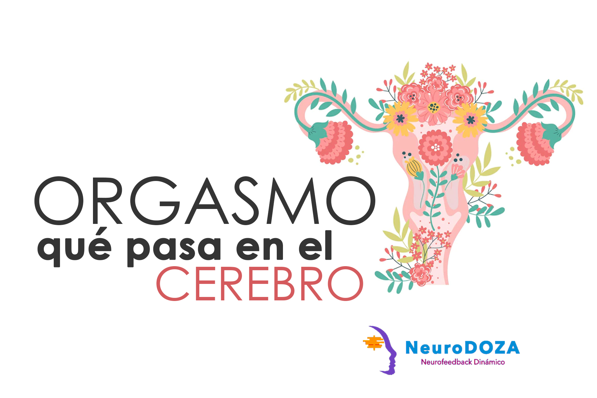 Qué sucede en el cerebro cuando tenemos un orgasmo? - NeuroDoza